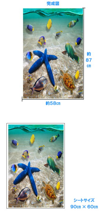 楽天市場 ウォールステッカー 海 ビーチ 魚 南国 砂浜 海岸 浜辺 夏 波 さざ波 亀 壁紙 お風呂 トイレ キッチン おしゃれ ハワイ 風景 海底 海中 床 ブルー リゾート サーフ 西海岸 ヤシの木 Diy 3d 貝殻 はがせる 景色 楽天市場 ウォールステッカー 海 ビーチ 魚 南国 砂浜 海岸 浜辺 夏 波 さざ波 亀 壁紙 お風呂 トイレ キッチン おしゃれ ハワイ 風景 海底 海中 床 ブルー リゾート サーフ 西海岸 ヤシの木 Diy 3d 貝殻 はがせる 景色