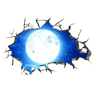 EH[XebJ[ F q f  V ǌ j̎q ̎q i V[  n C  X^[ K   CeA ͌n   q V ͂   EH