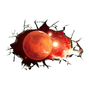 EH[XebJ[ V  F q f ǌ j̎q ̎q i V[  n  X^[ K   CeA ͌n   q V EH[V[ ͂   