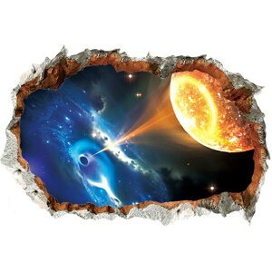 EH[XebJ[ F q V f  ǌ j̎q ̎q i V[  n  ͂ X^[ K   CeA ͌n ̕  q V EH[V[ ꐯ 