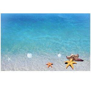 EH[XebJ[ C r[` 썑  ͂ l C l  g g ǎ gC Lb` nC i CeA  u[  F qgf YȊC ][g n T[t 