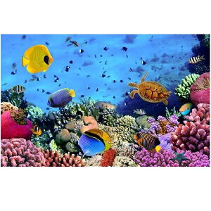 EH[XebJ[ C  r[` 썑    u[ C C̒ V[ǎ gC Lb` nC i CeA  E~K ͂  CT YȊC ][gC X 