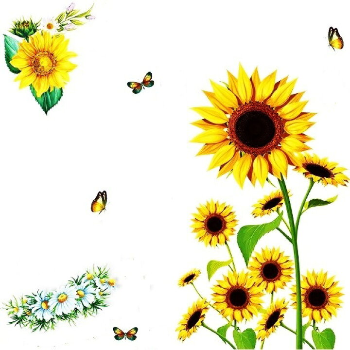 楽天市場 ウォールステッカー ひまわり 植物 花 北欧 おしゃれ 蝶 モダン カフェ 壁紙 ステッカー シール 向日葵 夏 ヒマワリ 森 山 インテリア 風景 山 壁飾り 涼 トイレ 店舗 オフィス 葉 黄色 花びら 壁シール 窓 太陽 アジアン 楽天市場 ウォールステッカー ひまわり 植物 花 北欧 おしゃれ 蝶 モダン カフェ 壁紙 ステッカー シール 向日葵 夏 ヒマワリ 森 山 インテリア 風景 山 壁飾り 涼 トイレ 店舗 オフィス 葉 黄色 花びら 壁シール 窓 太陽 アジアン