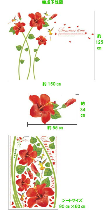 楽天市場 ウォールステッカー 花 おしゃれ ハイビスカス カフェ 海 フラワー 植物 花びら カフェ モダン 南国 ビーチ 窓 鳥 花柄 夏 大きい ハワイ トロピカル 背景 木 ツリー アロハ 赤 シール テレワーク 壁紙 文字 かわいい 大きい花 キッチン