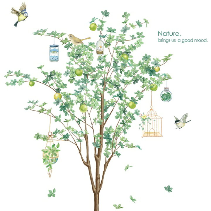 ブランドのギフト ウォールステッカー 小鳥 木 植物 自然 インテリア 鳥カゴ 緑 森林