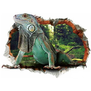 EH[XebJ[  gJQ WO V[ Aj} q ǎ i XebJ[  ǌ ܂G  u[ O[ 킢 X ঒    AtJ n 3d C 