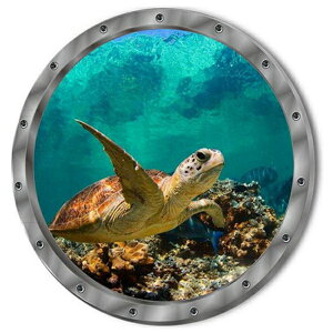 EH[XebJ[   C  Aj} E~K q ǎ 썑 EH[V[ T CT CJ V[ C C C gC  Ki r[` ①  V  킢 d