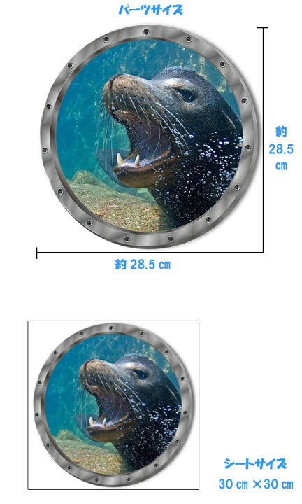 楽天市場 ウォールステッカー 動物 窓 海 アザラシ 壁紙 南国 ウォールシール おしゃれ 子供部屋 オットセイ イルカ シール 海中 海底 ビーチ 冷蔵庫 かわいい Diy お風呂 浜辺 海辺 洗濯機 洗面所 ウィンドウ 小さい 青い 円 水族館 小窓 小さいサイズ ミニサイズ