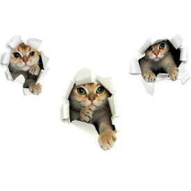 楽天市場 ウォールステッカー 3d 猫の通販