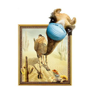 EH[XebJ[  q t[ ͂  Aj}  N_ T{e  CeA XebJ[ ʐ^  }V R j̎q ̎q gC gCg