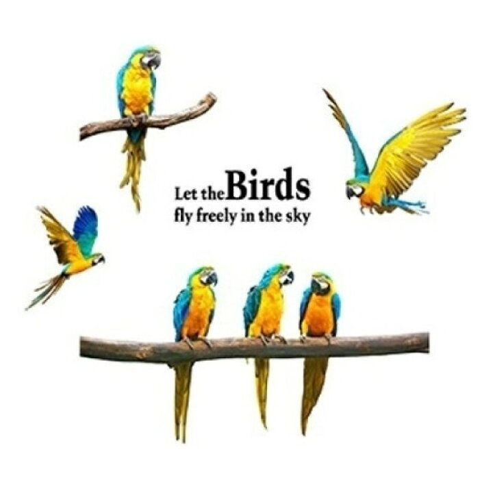 楽天市場 ウォールステッカー 鳥 動物 木 植物 おしゃれ 南国 アルファベット 英語 英字 文字 トイレ 壁紙 シール オウム トロピカル リゾート ジャングル インテリア 雑貨 空 壁飾り 森 小さい 玄関 夏 木と鳥 羽根 羽 翼 ステッカー シンプル