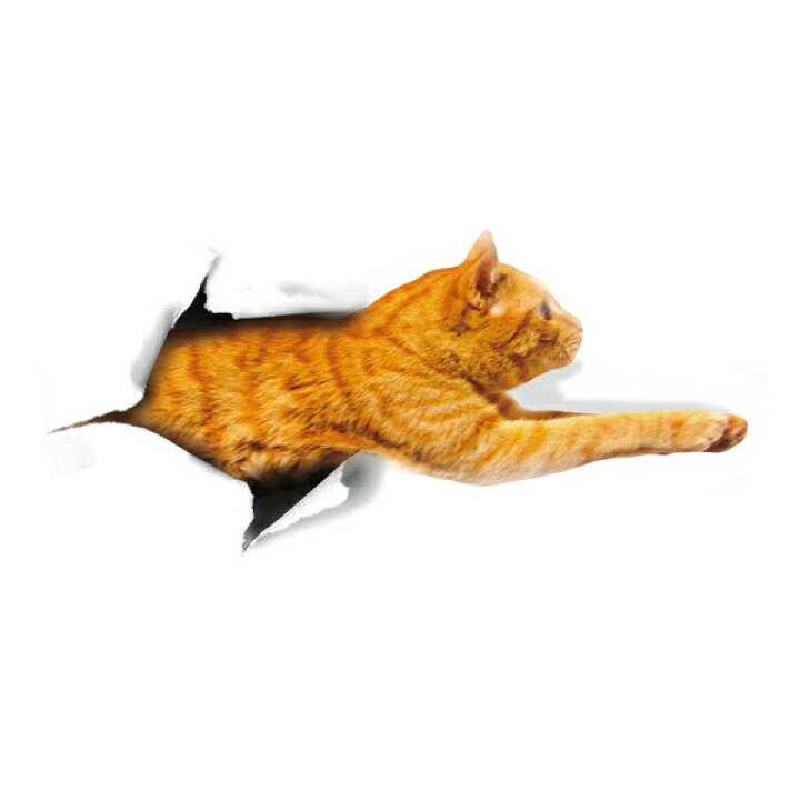 楽天市場 ウォールステッカー 動物 猫 ねこ 黒猫 三毛猫 ネコ アニマル トイレ 壁シール かわいい シール 壁穴 だまし絵 Cat 小さめ インテリア 雑貨 ステッカー 壁紙 1000 ドア フスマ 文字 子猫 アジアン 和室 壁の穴 補修 棚 和風 サイズ 楽天市場 ウォールステッカー 動物 猫 ねこ 黒猫 三毛猫 ネコ アニマル トイレ 壁シール かわいい シール 壁穴 だまし絵 Cat 小さめ インテリア 雑貨 ステッカー 壁紙 1000 ドア フスマ 文字 子猫 アジアン 和室 壁の穴 補修 棚 和風 サイズ