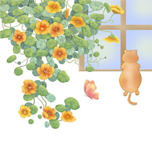 EH[XebJ[   L q ˂    A k i ͂ JtF lR _ V[ 킢 cat  CeA XebJ[ ق̂ڂ p ǎ gC h