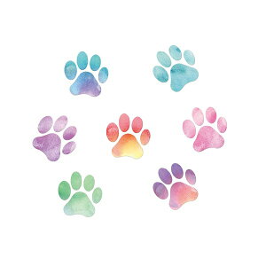 EH[XebJ[    q a   킢  JtF ǎ V[ gC  ͂ CeA G ~jTCY C   dog  V