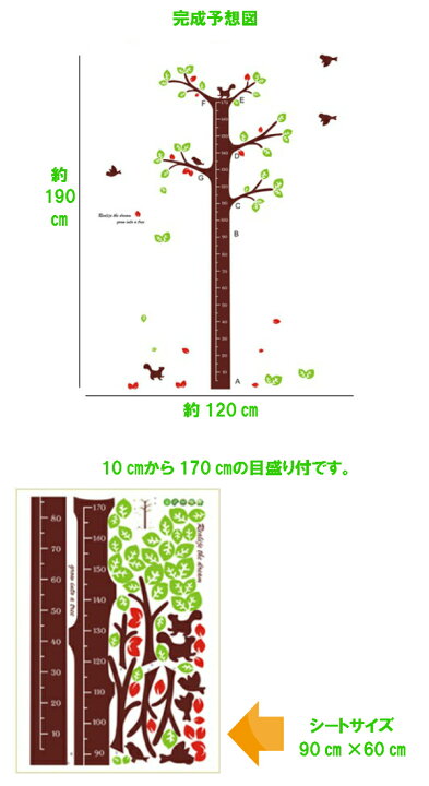 楽天市場】ウォールステッカー 木 身長計 子供部屋 おしゃれ 北欧 植物 
