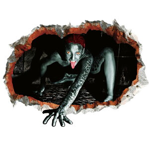 EH[XebJ[ nEB H  gC  q XebJ[ 킢 ǎ V[ ǌ nEBp[eB[ X ͂    j[N  X^[ nEC