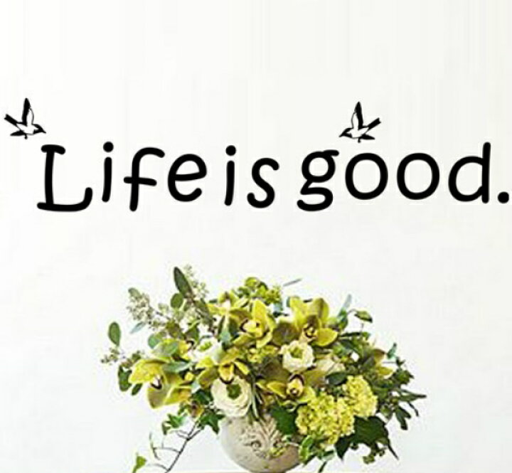 楽天市場 ウォールステッカー アルファベット 英字 おしゃれ 文字 英文 英文字 モノトーン 英語 カフェ モダン 転写 鳥 ウオールステッカー キッチン 1000 500 寝室 壁紙 萌え 言葉 文章 玄関 転写式 シール トイレ 小さい 小さめ ミニ サイズ 隙間 お試し