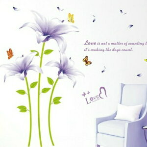 EH[XebJ[ A    p[v   S  V[ EH[V[ JtF a_ ̉ k  t a AWA CeA 傫ȉ ͂  X i`