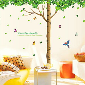 EH[XebJ[   A k    O[ F c[ 傫Ȗ ͂ ACr[ ǎ V[  t } [t X  p 唻 EI[XebJ[ i`