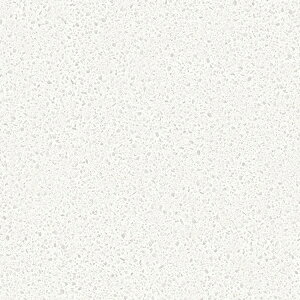 NbVtA  Ζڒ  k  Lb` NbVV[g CNV[g gC ʏ  A _ h  킢 CeA  ȒP L m tH[