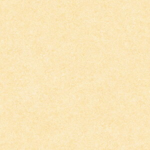 NbVtA V[g n k  F 킢  Lb` gC ʏ Eߏ q h  NbV CNV[g  Vv  炳   180 