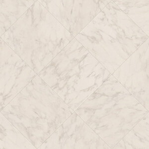 NbVtA ^C 嗝 k   Ζڒ gC ʏ h  CNV[g  Lb` V[g  tAV[g q K diy F ȒP 킢  y N