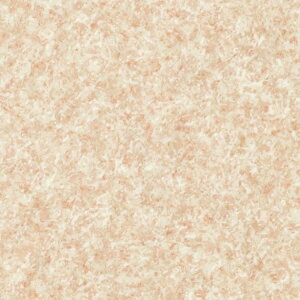 CNV[g  NbVtA n gC ʏ sN h Ζڒ k   킢  y tAV[g  Ζ  Lb`  g ^C a 吳