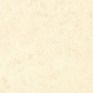 NbVtA Ζ 嗝   k  tH[V[g e[v\ ^\X ȒP JtF diy  ʏ gC Lb`  _ R ڒnȂ  NbVV[g 