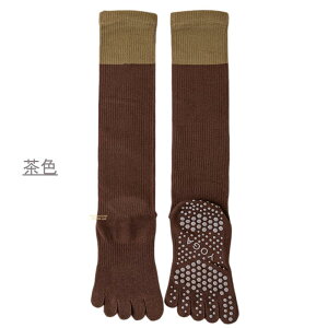 K\bNX 5{w ~ seBX K \bNX fB[X  悪  ҂Ă ܖ{w C 킢 KEFA zbg K C O lC K se