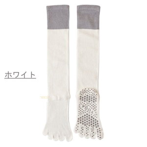 ���K�\�b�N�X 5�{�w ����~�� �s���e�B�X ���K �\�b�N�X ���f�B�[�X ������� �悪 �������� �҂�Ă��� �ܖ{�w �C�� ���킢�� ���K�E�F�A �z�b�g ���K �C�� �����O �l�C ���K�������� �s���e