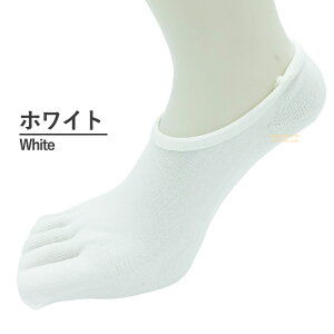 tbgJo[ Y C 5{w \bNX 2Zbg ܖ{w Ԃ\bNX   Xj[J[\bNX EȂ AN\bNX Xj[J[ C Ȃ hCrOV