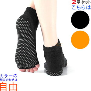 y{BzBzK\bNX 2 Zbg 5{w wȂ ~ seBX K \bNX C ܖ{wC KEFA KC KEGA 悪  zbg K C w