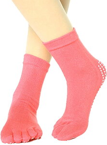 K \bNX ~ 5{w C K\bNX KEFA seBX\bNX ܖ{w KEGA   悪  zbg K EFA g[jOEFA X|[cEFA