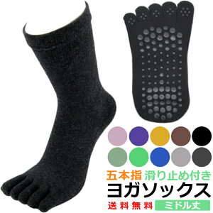 K\bNX 5{w C ~ seBX \bNX fB[X ~h X|[c ~ߌC ׂ~ t  zbgK ҂Ă g[jO W _X Xgb`