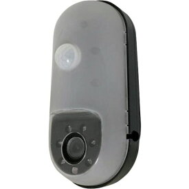 リーベックス　SDカード録画式センサーカメラ 1台