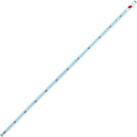 シンワ　3倍尺のび助両方向式Cメートル目盛 1個