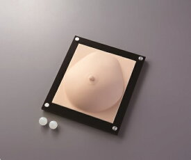 訓練用モデル(ナビトレ) 乳がん触診モデル 腫瘍ボール付き 1式