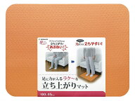 【期間限定!対象商品P2〜20倍】 サンコー立ち上がりマット オレンジ