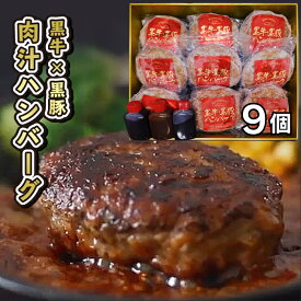 【送料無料】かごしま黒豚 黒牛・黒豚 ハンバーグセット【ギフト箱入り】肉 ギフト お取り寄せ 冷凍ハンバーグ 和牛ハンバーグ 黒毛和牛 和牛 鹿児島 牛肉 肉ギフト 熨斗対応可 箱入り 贈答 高級ハンバーグ 内祝い