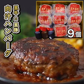 ＼40％OFF!6,480→3,888円／【送料無料】かごしま黒豚 黒牛・黒豚 ハンバーグセット【ギフト箱入り】肉 ギフト お取り寄せ 冷凍ハンバーグ 和牛ハンバーグ 黒毛和牛 和牛 鹿児島 牛肉 肉ギフト 熨斗対応可 箱入り 贈答 お取り寄せギフト 高級ハンバーグ 内祝い 御中元 父の日