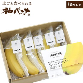 皮ごと食べられる神バナナ 10本　箱入り 国産 鹿児島県産 完熟 追熟 ばなな お取り寄せ