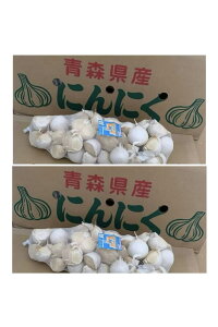 嗱 oɂɂ2kg LTCYȏ XY zCgZЎɂɂ p Y I Ai ōi