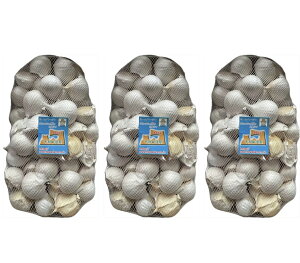 嗱 oɂɂ3kg LTCYȏ XY zCgZЎɂɂ p Y I Ai ōi