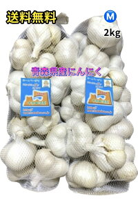 2025NY@Xɂɂ@ƖpɂɂMTCY2kg@Ci@XYuzCgZЎɂɂv@Yɂɂ@X@jjN@ƒp@󂠂@f