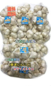 2025年産 青森にんにく 業務用にんにくMサイズ5kg 並級C品 訳ありニンニク 青森県産 「ホワイト六片種にんにく」  国産にんにく 家庭用