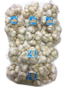 2025NY@Xɂɂ@󂠂ɂɂMTCY5kg@CiuzCgZЎɂɂvYɂɂ