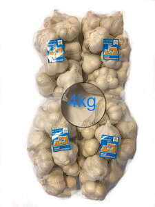 2025NVɂɂ@ƖpɂɂMTCY4kg@Ci@XY@uzCgZЎɂɂv@@Yɂɂ@X@jjN