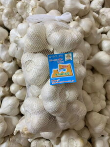 2025NYɂɂ@󂠂ɂɂLTCY1kg@XYjjN@uzCgZЂɂɂv@Yɂɂ