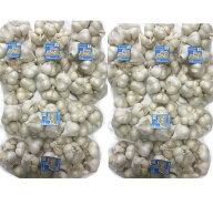 2026年産にんにく　業務用にんにくLサイズ10kg　並級C品　訳あり　青森県産「ホワイト六片種にんにく」　…