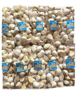 2025NYɂɂ@oɂɂ10L@pЁ@召@XY@ɂɂuzCgZЎɂɂvYɂɂ@΂ɂɂ